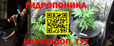 ECSTASY Лесосибирск