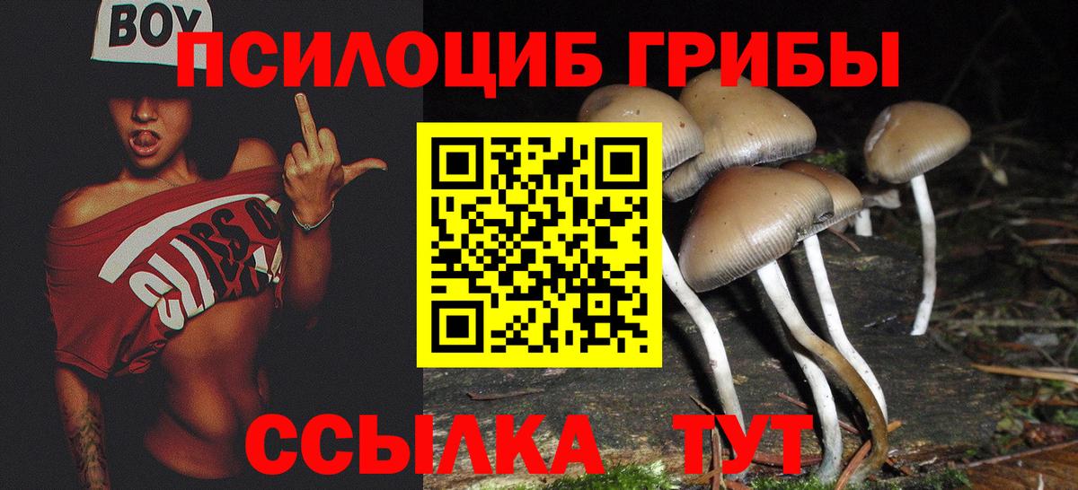Чехов  Галлюциногенные грибы MAGIC MUSHROOMS  Вход с VPN 